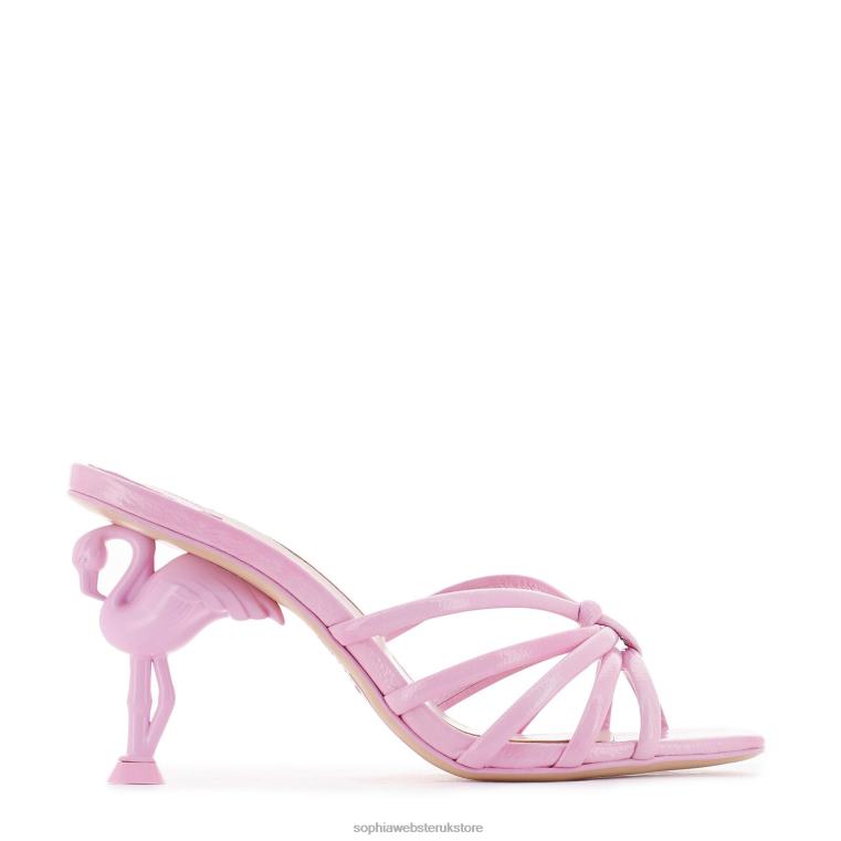 Sophia Webster Flo Flamingo Mid Mule HTFF156 Footwear